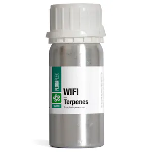 Photo of WIFI
